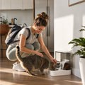 Automatic Pet Feeder and Water Dispenser Combo